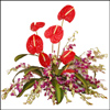 Rechargeable Emotions - Click here to View more details about this Product
